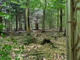 5333 Wintergreen Trail - Photo 37