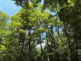5333 Wintergreen Trail - Photo 48