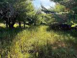 0015 Westview Drive - Photo 4