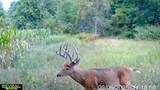 3796 Par B Hoyt Road - Photo 22