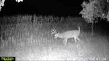 3796 Par B Hoyt Road - Photo 23