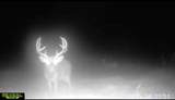 3796 Par B Hoyt Road - Photo 24