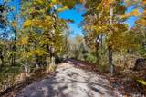 Parcels A Wild River Way - Photo 16