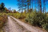 Parcels A Wild River Way - Photo 21