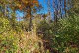 Parcels A Wild River Way - Photo 25
