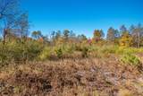 Parcels A Wild River Way - Photo 28