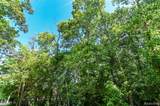 000 Holdridge Rd - Photo 10