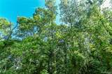 000 Holdridge Rd - Photo 11