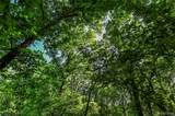 000 Holdridge Rd - Photo 8