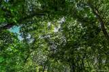 000 Holdridge Rd - Photo 9
