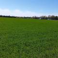  Johnson Road - Photo 11