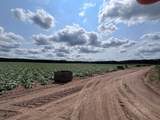  Johnson Road - Photo 13