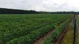  Johnson Road - Photo 8