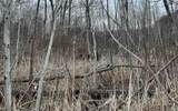 00 Hidden Beech Drive - Photo 10