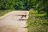 V/L Adams Road - Photo 2