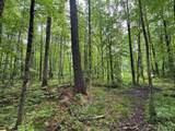 Pinecrest Drive - Photo 7