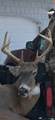 000 Custer Rd - Photo 21