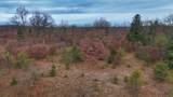 3728 Custer Road - Photo 17