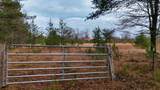 3728 Custer Road - Photo 3