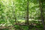003 Greenwood Road - Photo 15