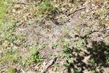 003 Greenwood Road - Photo 18