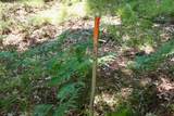 003 Greenwood Road - Photo 19