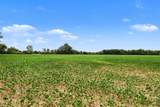 V.L. Willis Road - Photo 5