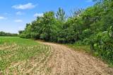 V.L. Willis Road - Photo 7