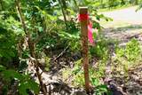 01 Down To Earth Way - Photo 13