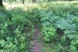 01 Down To Earth Way - Photo 5