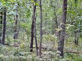 2a Steinberg Road - Photo 4