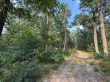 2668 Moonflower - Photo 1