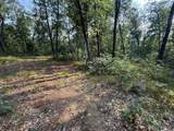 2668 Moonflower - Photo 7