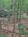 14739 9 Mile Road - Photo 32