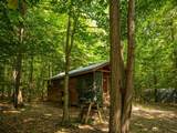 14739 9 Mile Road - Photo 37