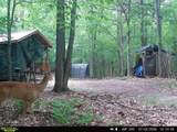 14739 9 Mile Road - Photo 38