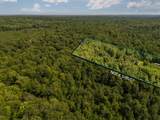 14739 9 Mile Road - Photo 41
