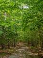 14739 9 Mile Road - Photo 45