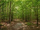 14739 9 Mile Road - Photo 46