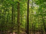 14739 9 Mile Road - Photo 47