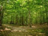 14739 9 Mile Road - Photo 48