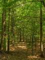 14739 9 Mile Road - Photo 49