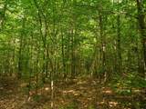 14739 9 Mile Road - Photo 51