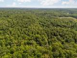 14739 9 Mile Road - Photo 56