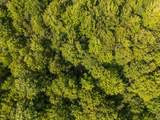 14739 9 Mile Road - Photo 63