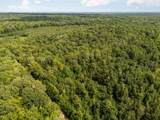14739 9 Mile Road - Photo 65