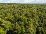 14739 9 Mile Road - Photo 68