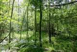 03 Down To Earth Way - Photo 14