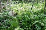 03 Down To Earth Way - Photo 15