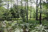 03 Down To Earth Way - Photo 8
